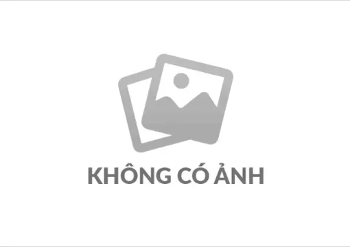Bồn rửa Inox